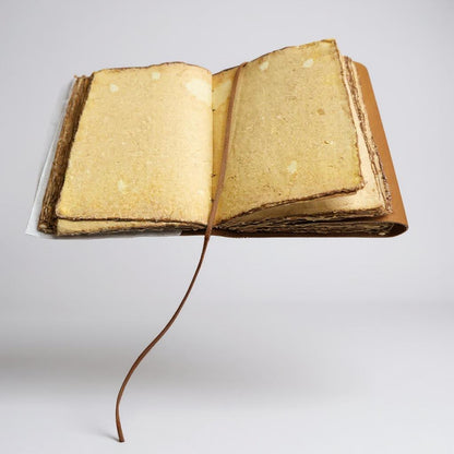 Premium Leather Compass Diary