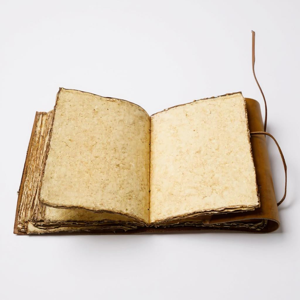 Premium Leather Compass Diary