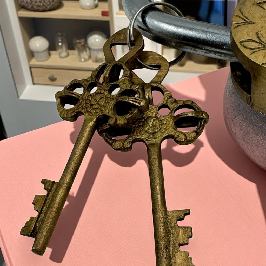 Vintage Brass Horse Lock